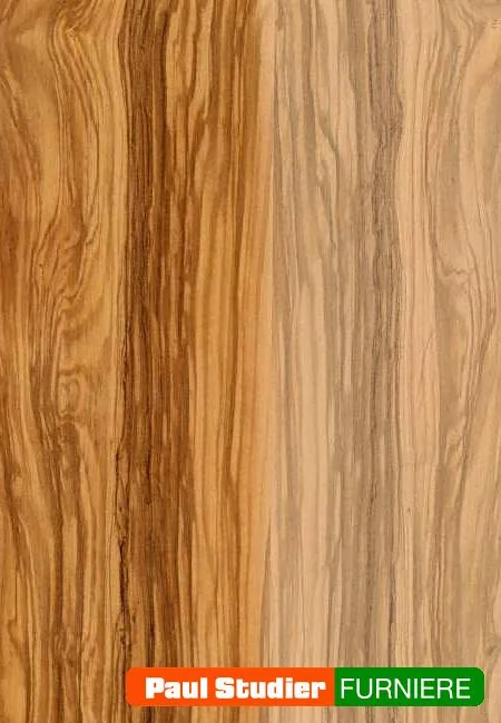 Furnierbild Olive – Cremegelb mit olivgrünen und braunen Adern