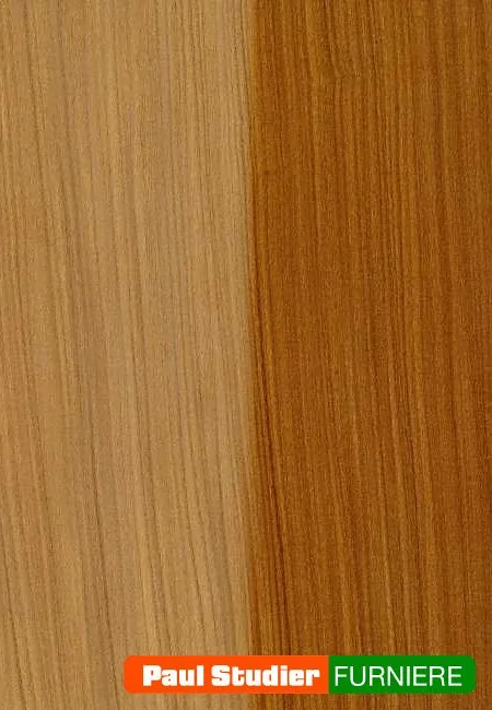 Furnierbild Afromosia – Gelblichgrün, bräunlich bis olivfarbig, später nachdunkelnd